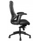 Spine Mesh Executive Office Chair